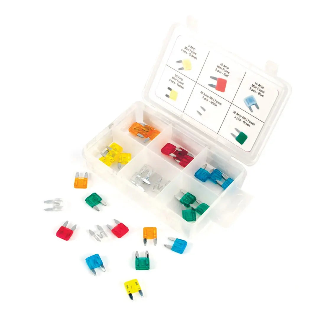 Perform Tool W5371 Fuse Assortment for Reliable Circuit Protection