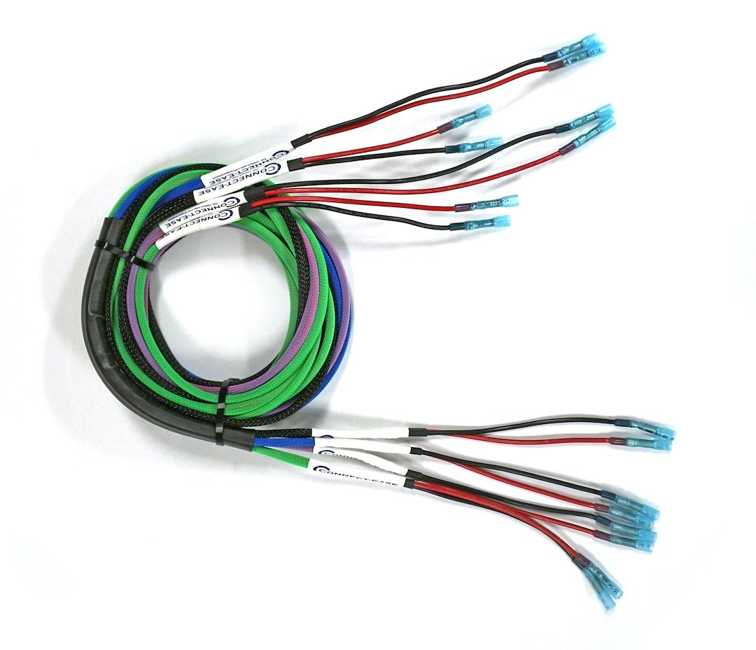 Connect Ease RCE12VLTN Yak-Ease Power Pack Pro – Reliable 12V Power Solution