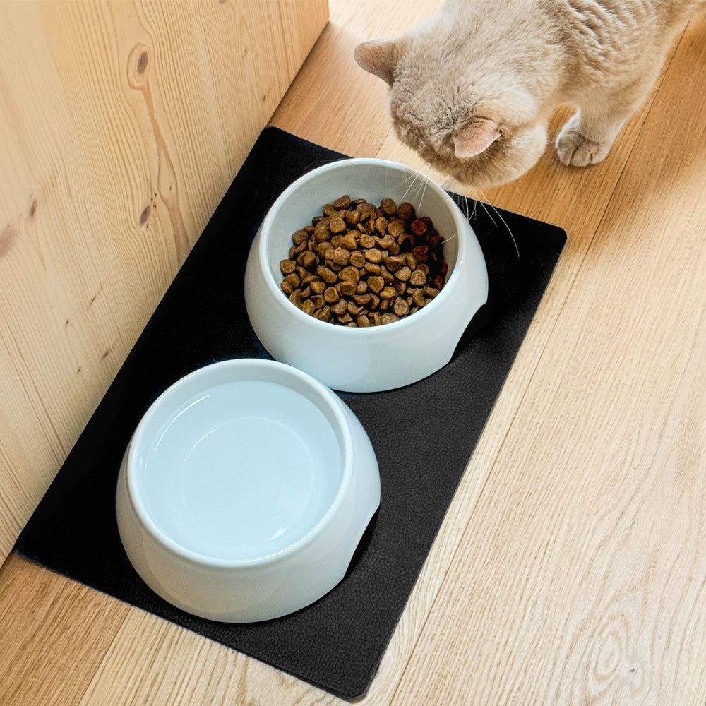 SILWY MAGNET FNP3 Porcelain Feeding Bowl Set for Pets