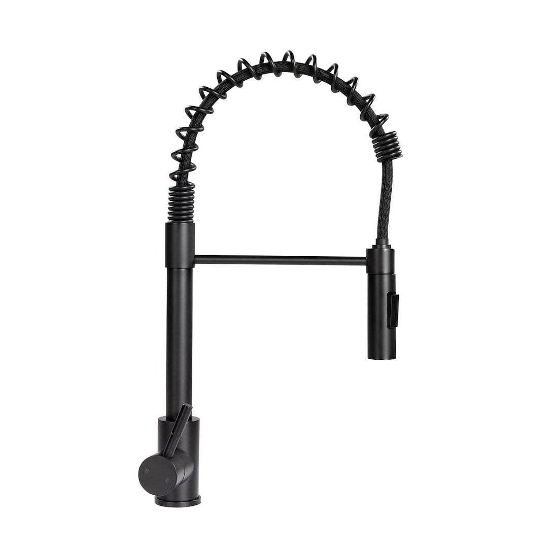 Lippert Components Coiled Pull-Down Faucet in Black Matte – Part #2021090598