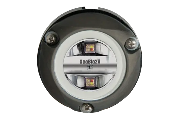 Lumitex Zambezi Mini Pontoon PLI Spectru LED Light