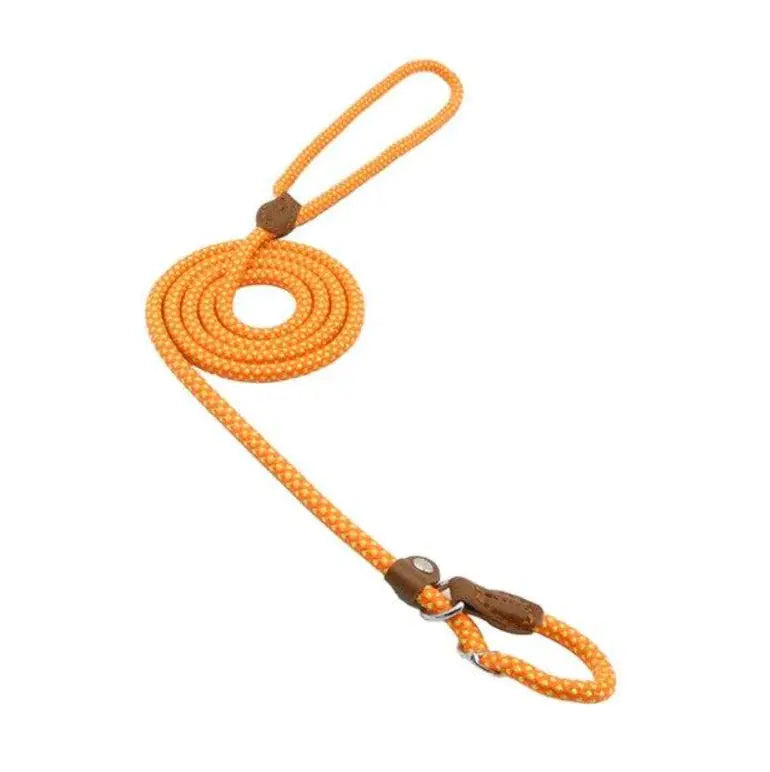 Nylon Pup Set Atticus Goods