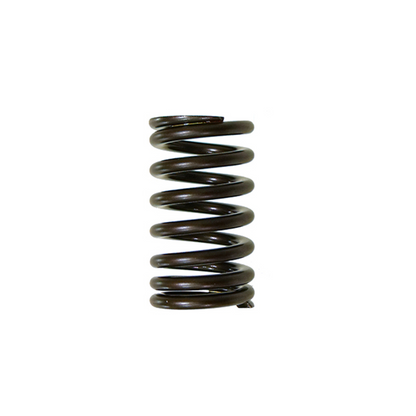Psychic XU-09541IS Intake Valve Spring for Automotive Applications