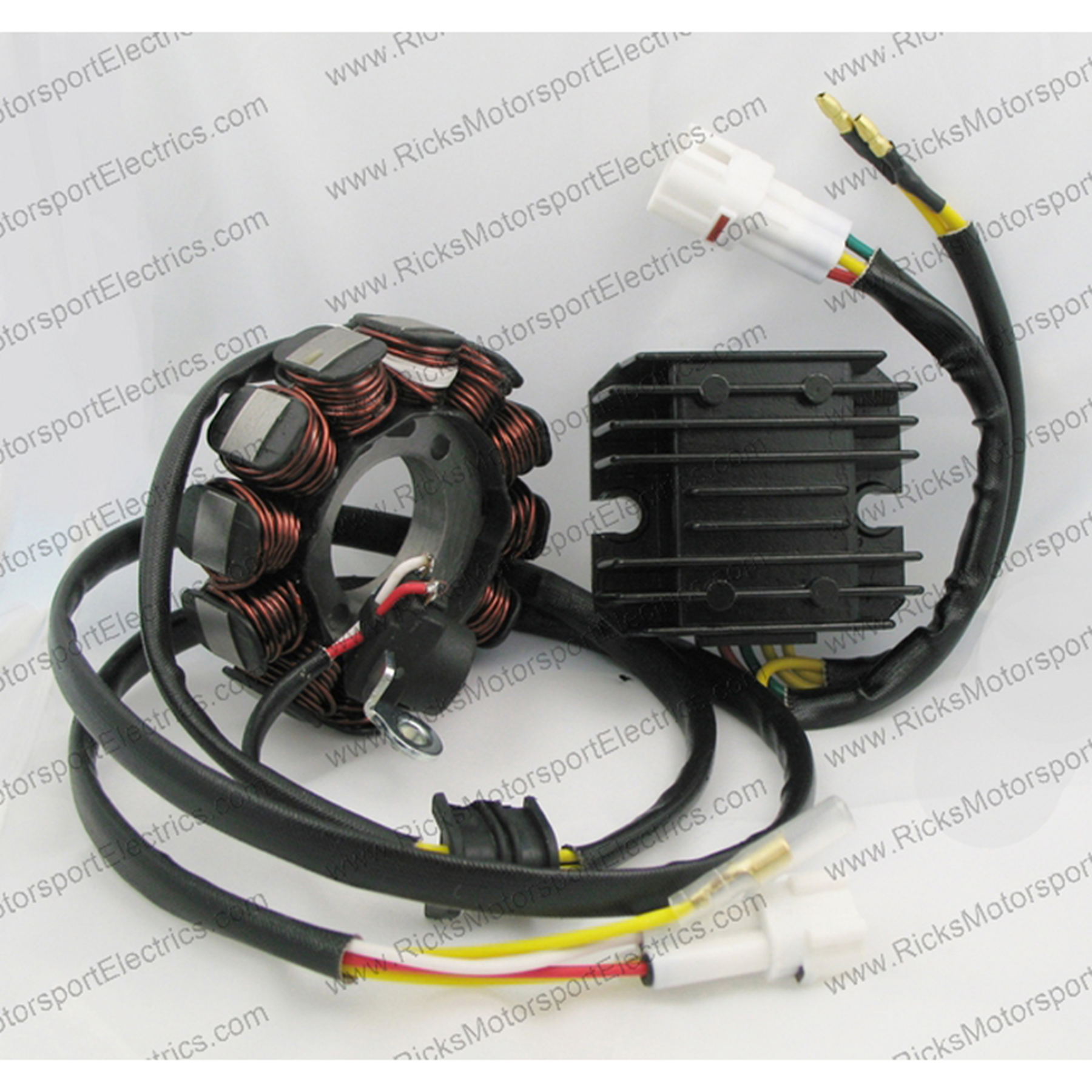 RICK'S Electric H.O. Kit: Regulator and Stator for Enhanced Performance