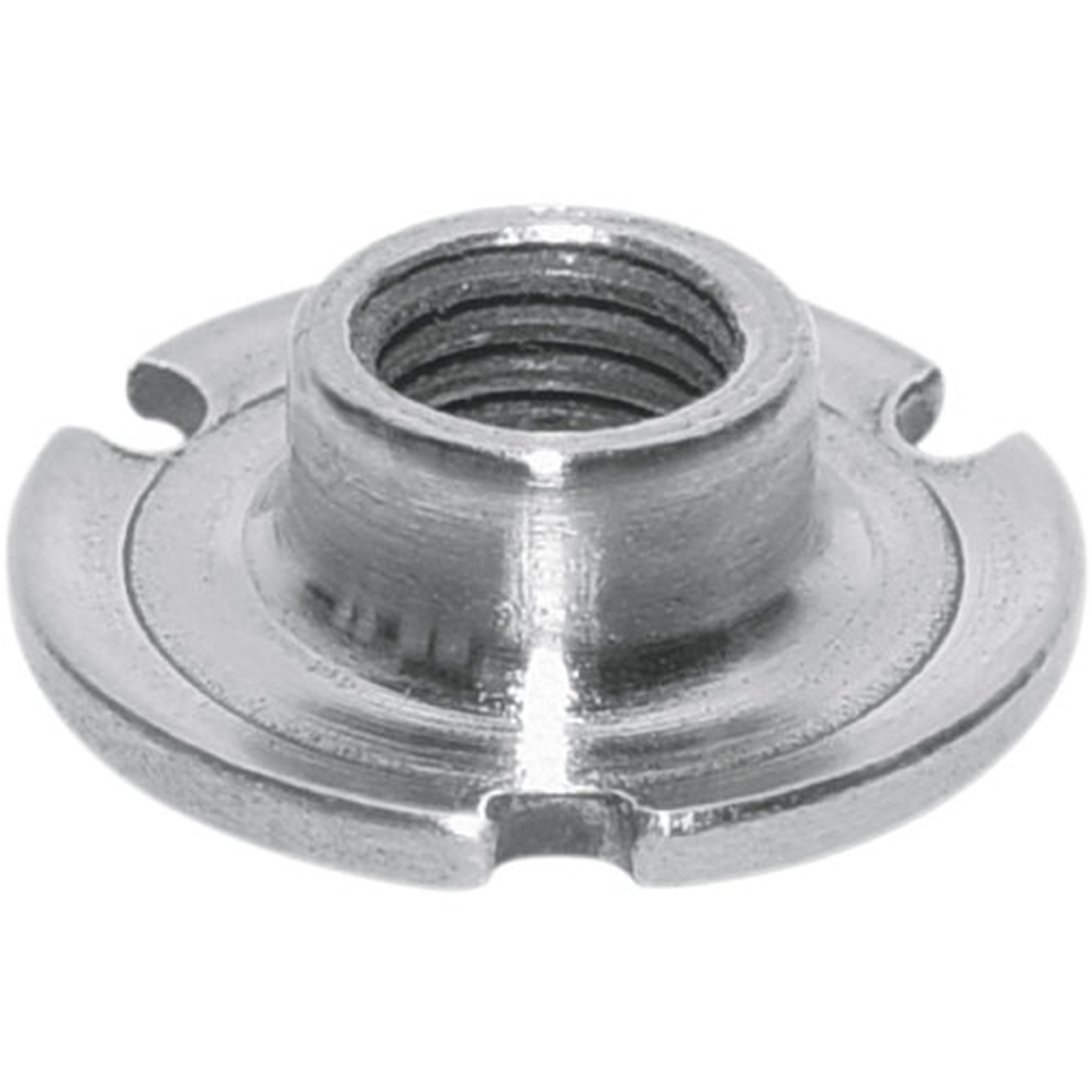WOODYS Dished Head T-Nut with 15/16" Head, 1/4-20 Thread - 48 Pack