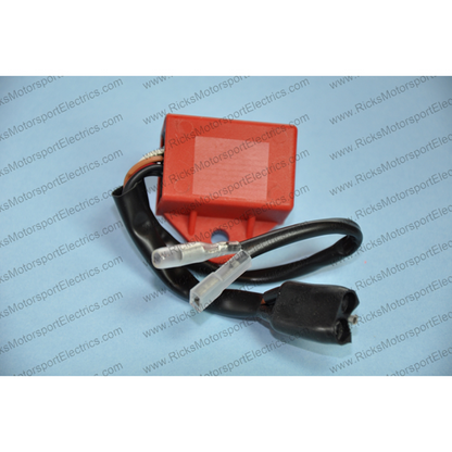 RICK'S Electric Hot Shot Polaris CDI Box (Part Number 15-510)