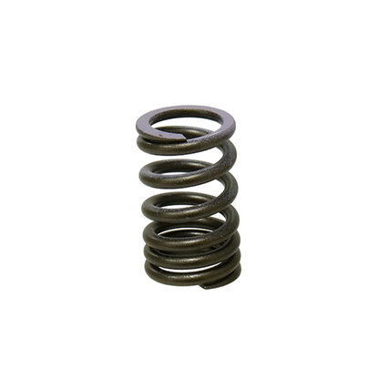 Psychic XU-09552IS Intake Valve Spring - High-Performance Engine Component
