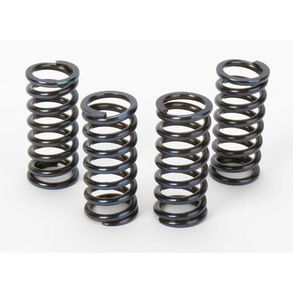 VESRAH Clutch Springs Kit SK-432 for Automotive Applications