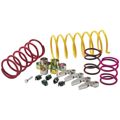 EPI Performance Clutch Kit WE391030 for Enhanced Vehicle Performance