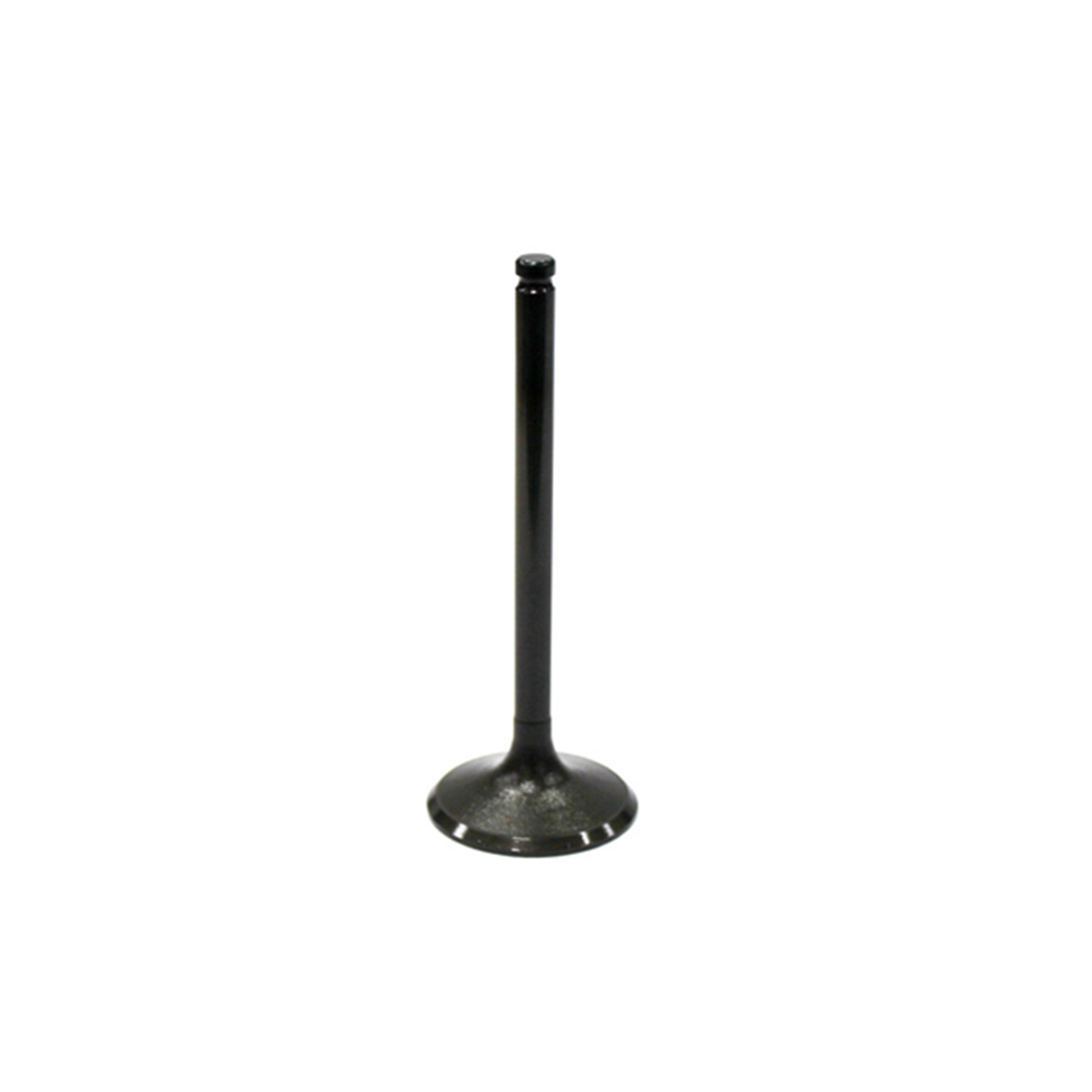 Bronco Intake Valve 31mm x 5.5mm x 81.8mm - Durable Engine Replacement Part