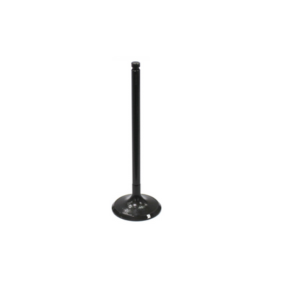 BRONCO ATV Intake Valve AU-09033I for Enhanced Engine Performance