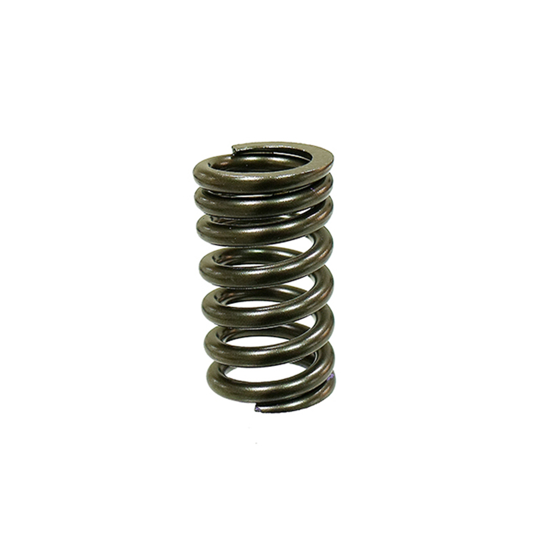Psychic XU-09544S Exhaust and Intake Valve Spring