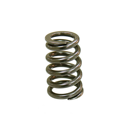 Psychic Intake Valve Spring XU-09550IS for Automotive Applications