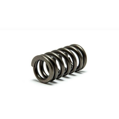 Psychic XU-09521S Exhaust and Intake Valve Spring for Automotive Engines