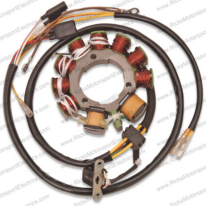 RICK'S OE Style Electric Stator Part 21-551 for Your Vehicle