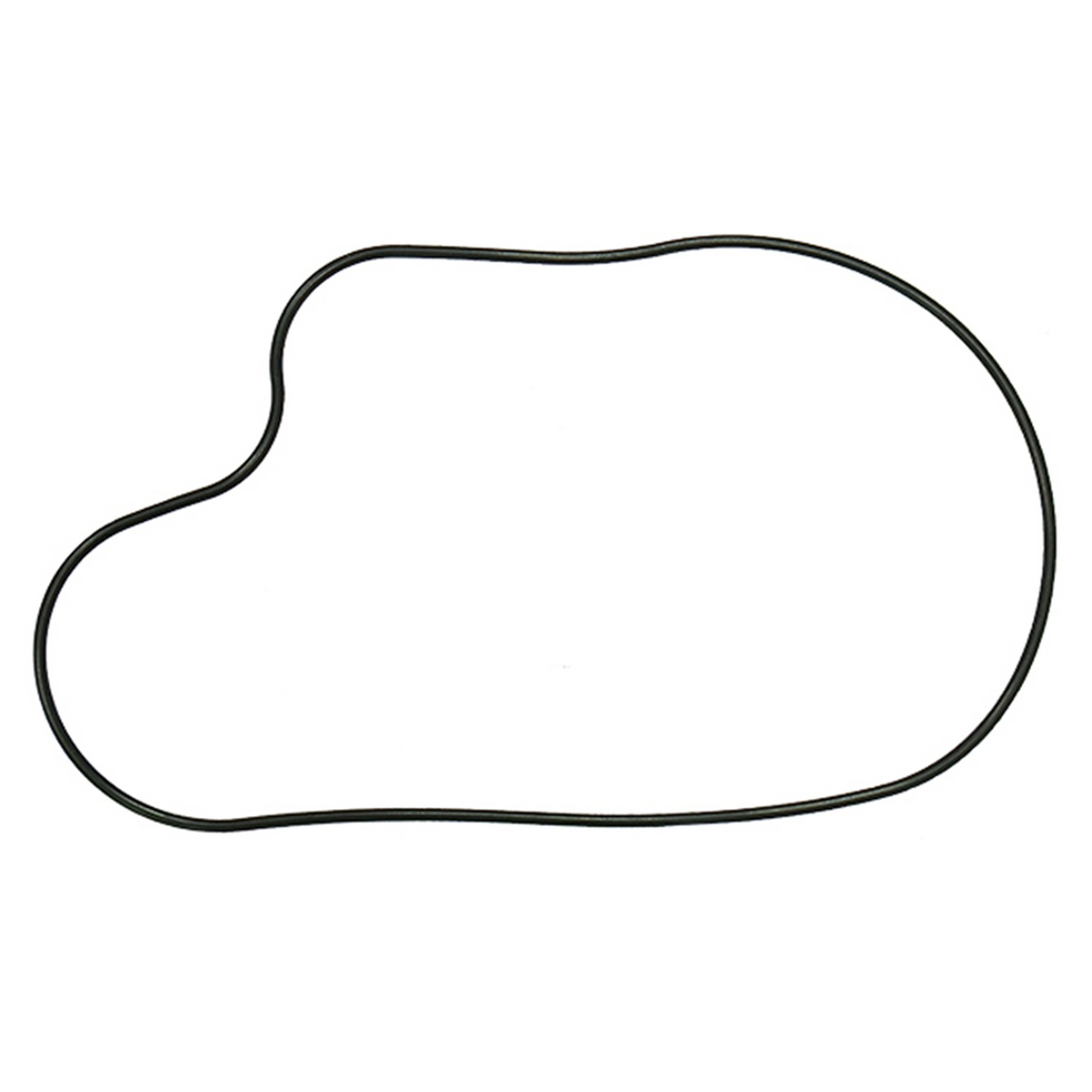 SPI SM-03349 Chaincase Gasket