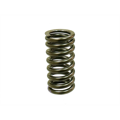 PSYCHIC Intake Valve Spring XU-09545IS for Automotive Engines