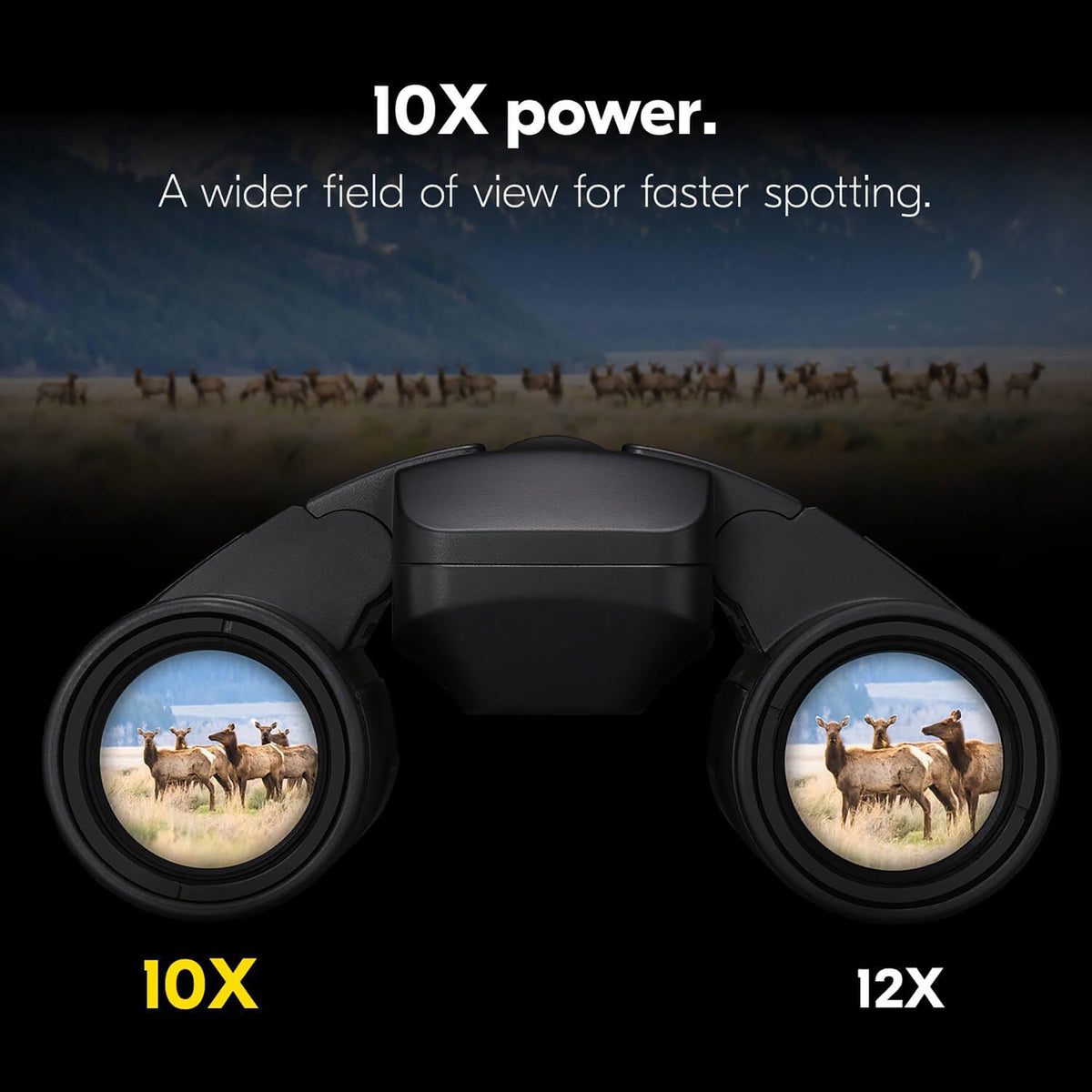 Nikon 16782 Stabilized 10x25 S Optical Image Stabilization Binoculars