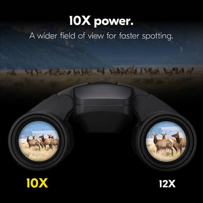 Nikon 16782 Stabilized 10x25 S Optical Image Stabilization Binoculars