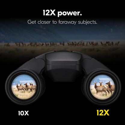 Nikon 16783 Stabilized 12x25 S Binoculars with Optical Image Stabilization