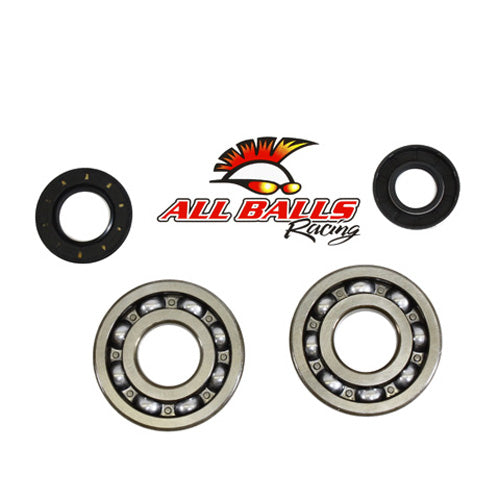 All Balls Racing Crank Bearing and Seal Kit (Part No. 24-1010)