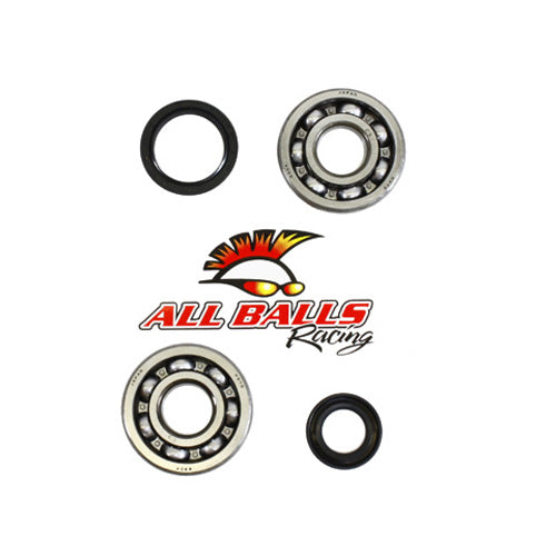 All Balls Racing Crank Bearing and Seal Kit (Part #24-1014)
