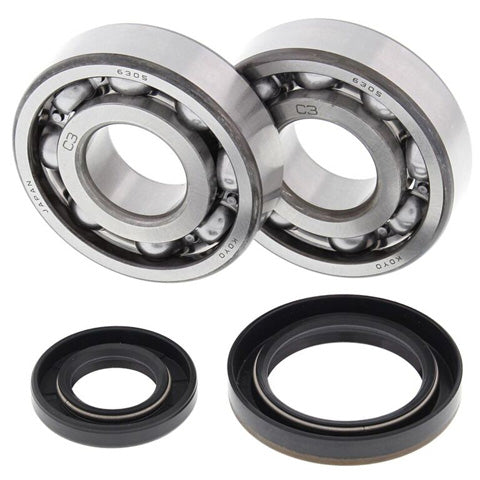 All Balls Racing Crank Bearing and Seal Kit (Part #24-1019)
