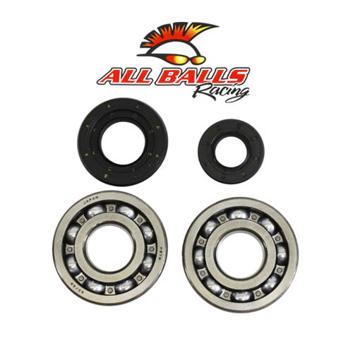 All Balls Racing Crank Bearing and Seal Kit (Part Number 24-1029)