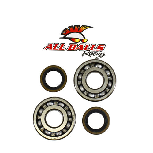 All Balls Racing Crank Bearing and Seal Kit - Part #24-1044