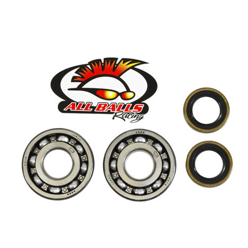 All Balls Racing Crank Bearing and Seal Kit (Part #24-1045)