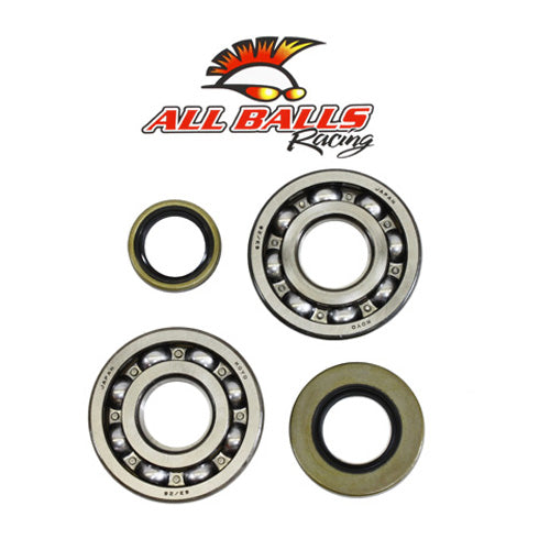 All Balls Racing Crank Bearing and Seal Kit (Part #24-1046)