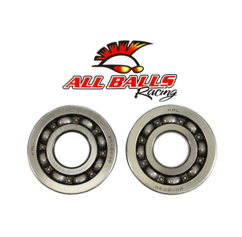 All Balls Racing Crank Shaft Bearing and Seal Kit - Part No. 24-1052