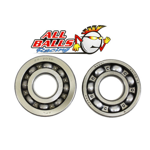 All Balls Racing Crank Shaft Bearing Kit (Part No. 24-1053)