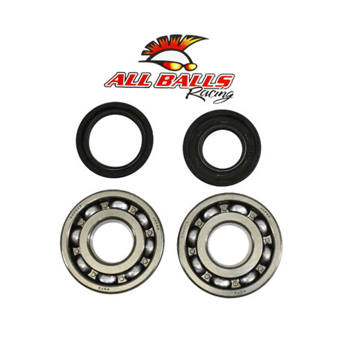 ALL BALLS RACING Crank Bearing and Seal Kit (Part #24-1066)
