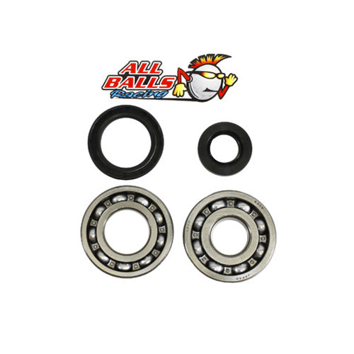 All Balls Racing Crank Bearing and Seal Kit (Part #24-1069)