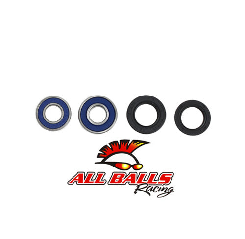 All Balls Racing Wheel Bearing Kit (Part #25-1160)