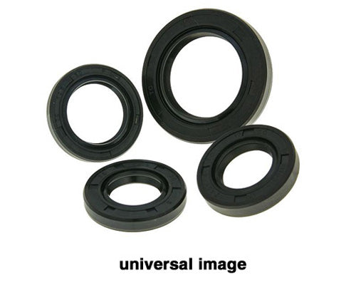 Vertex Drive Shaft Housing Seal Kit - Part Number 624116