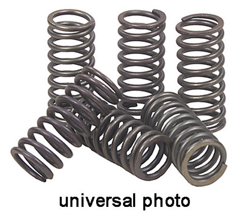 EBC Clutch Springs (Part Number: CSK102) for Enhanced Transmission Performance