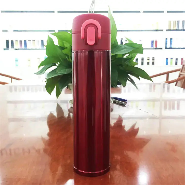 Stainless Steel Insulated Water Bottle and Cup Atticus Goods