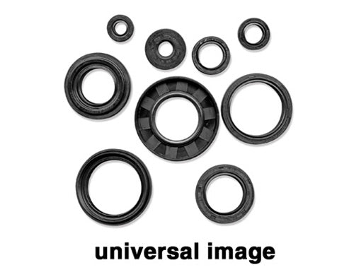 Vertex Jet Pump Seal Kit - Part 623802 for Reliable Pump Performance